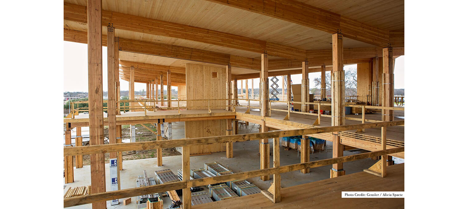 timber frame raising sherman bank commercial mass timber structure 23