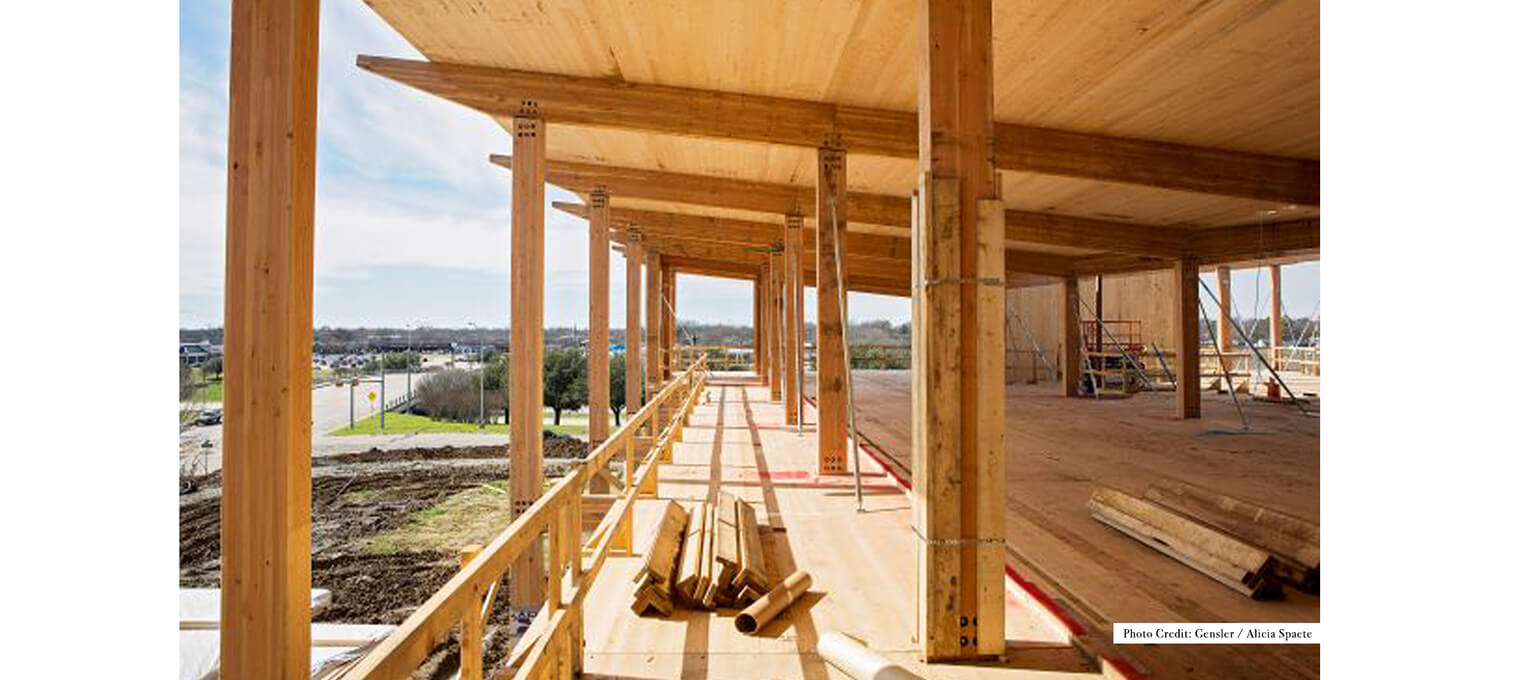 Commercial Mass Timber Frame Sherman Bank19
