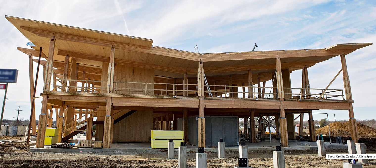 timber frame raising sherman bank commercial mass timber structure 25