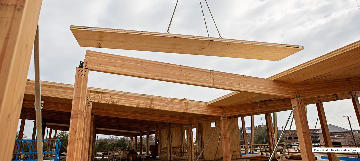 timber frame raising sherman bank commercial mass timber structure 26