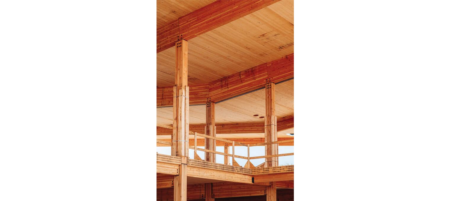 timber frame raising sherman bank commercial mass timber structure21