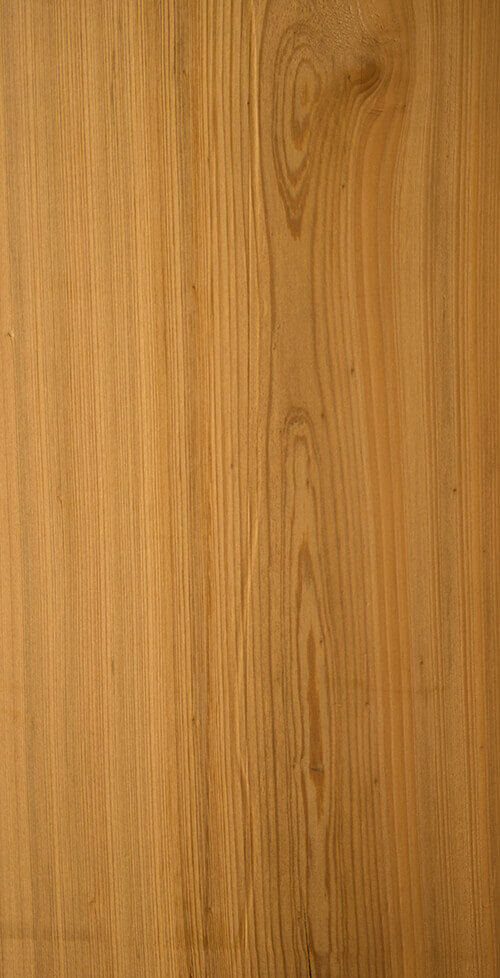 wood beam timber species cypress